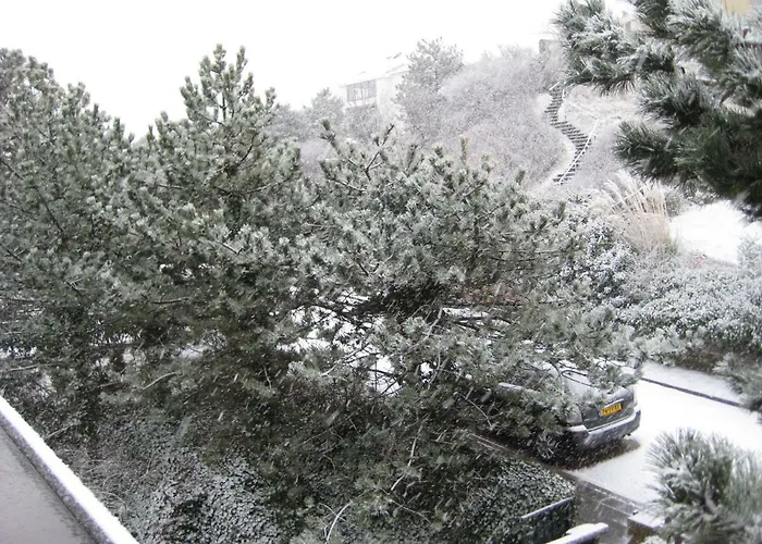 Brouwer Apartament Egmond aan Zee