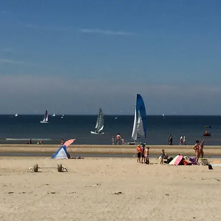 Brouwer *