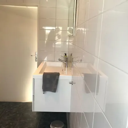 Διαμέρισμα Brouwer *